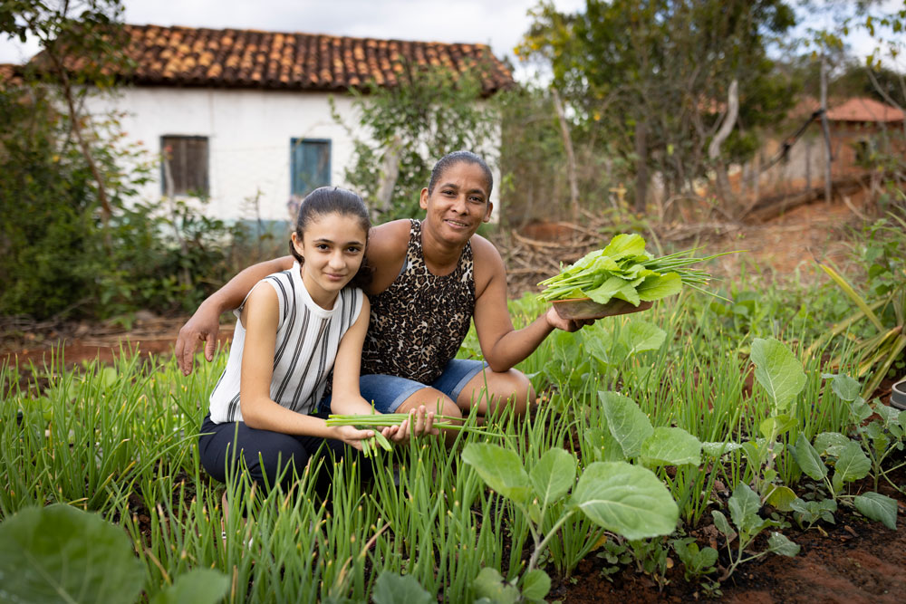 Family vegetable garden